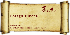 Baliga Albert névjegykártya
